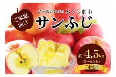 No.2773 サンふじりんご 訳あり ご家庭用　約4.5kg【2025年度発送】