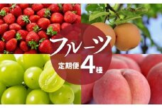 No.2825フルーツ４種定期便【2025年発送　先行予約】