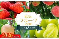 No.2825【2026年発送　先行予約分】フルーツ４種定期便
