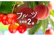 No.2823フルーツ２種定期便【2025年発送　先行予約】
