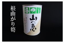 No.0211たけのこ 缶詰（根曲り筍）1缶