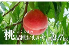 No.2870 もも（品種おまかせ）約2.7kg【2025年発送　先行予約】