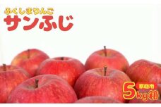 No.2763 りんご「サンふじ」家庭用　約5kg箱入【2025年度発送】
