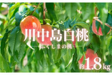 No.2886もも「川中島白桃」約1.8kg【2025年発送】