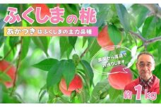No.2898【先行予約　限定50箱】ふくしまのもも　あかつき 約1kg【2025年発送】