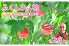 No.2896【限定150箱】ふくしまのもも　あかつき 約2.8kg【2025年発送】