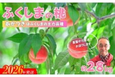No.2896【限定150箱】ふくしまのもも あかつき 約2.8kg【2026年発送 先行予約】