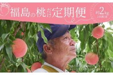 No.2918 ヤマ考紺野果樹園 福島の桃だけ２種定期便各約2kg【2025年発送　先行予約】