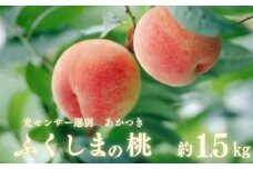 No.2919【先行予約】ふくしまの桃「光センサー選別あかつき」約1.5kg【2025年発送】