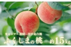 No.2920【先行予約】ふくしまの桃「光センサー選別川中島白桃」約1.5kg【2025年発送】