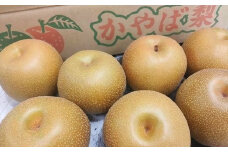 No.2922【先行予約】かやば梨「幸水」約1.8kg【2025年発送】