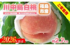No.2986もも「川中島白桃」ご家庭用　約2.7kg【2026年発送　先行予約】