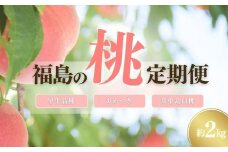No.2967中野/佐藤果樹園 福島の桃３種定期便 各約2kg【2025年発送】
