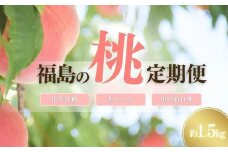 No.2969中野/佐藤果樹園 福島の桃３種定期便 各約1.5kg【2025年発送】