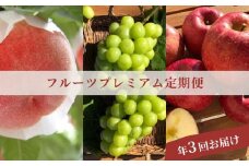 No.3005 フルーツプレミアム定期便【2025年発送】