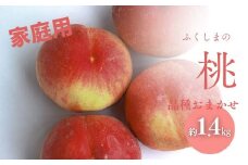 No.3006 桃　品種お任せ　家庭用　約1.4kg【2025年発送】