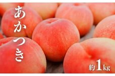 No.3008 桃（あかつき）約1kg【2025年発送】