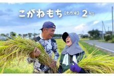 No.3010【令和6年産】たきちゃん農場のこがねもち（もち米）2kg
