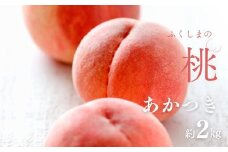 No.2989 福島定番 福島県福島市産もも「あかつき」約2kg(5～7玉)【2025年発送】