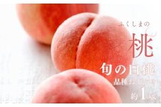 No.2997 福島県福島市産 旬のもも (白桃・品種おまかせ)  約1kg(3～6玉)【2025年発送】