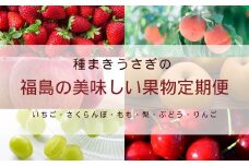 No.2998 福島の美味しい果物定期便【2025年発送】