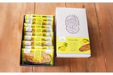 No.3038 わらじパイ（信夫山の柚子）１０枚入り