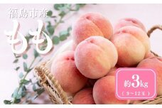 No.3061 道の駅ふくしま 福島市産もも　約3kg（9玉～12玉）