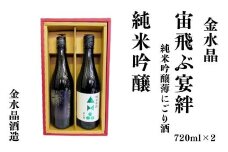 No.3073 UFOの里　宙飛ぶ宴絆・純米吟醸　飲み比べセット 720ml 2本