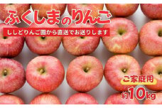 No.2965 ししどりんご園　りんご「サンふじ」家庭用　約10kg箱入【2025年度発送】