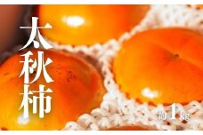 No.3009 太秋柿　約1kg【2025年発送】
