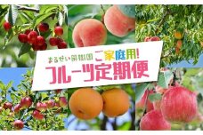 No.2945 まるせい果樹園　ご家庭用6回定期便【2025年発送】