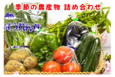 季節の農産物詰め合わせ｜産直 農産物 季節の野菜 やさい 旬の野菜 新鮮 詰合せ [0757]