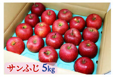 サンふじ 約5kg りんご 2024年産｜令和6年産 りんご リンゴ 林檎 果物 フルーツ サンふじ [0671]