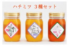 ハチミツ 3種セット｜会津若松 蜂蜜 はちみつ 天然ハチミツ [0619]