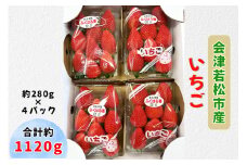 会津若松市産 いちご 約1120g (約280g×4パック)｜2025年産 令和7年産 いちご イチゴ 苺 フルーツ 果物 農協 会津産 会津若松 [0766]