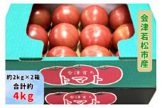 会津若松市産 トマト 約4kg｜2025年産 令和7年産 とまと 野菜 サラダ 新鮮 農協 会津産 会津若松 [0767]