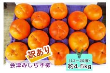 会津身しらず柿 (訳あり・家庭用) 約4.5kg (13個から20個入り) 渡部柿園産｜会津若松 訳アリ 果物 フルーツ 柿 みしらず かき カキ 会津身不知柿 令和7年 2025年 旬 [0937]