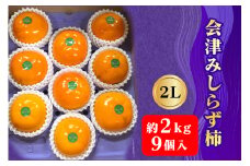 会津身しらず柿2L (9個入り) 約2kg 果樹園 壱心産｜会津若松 果物 フルーツ 柿 身知らず みしらず かき カキ 会津身不知柿 令和6年 2024年 旬 [0828]
