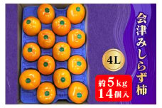 会津身しらず柿 4L (14個入り) 約5kg 果樹園 壱心産｜会津若松 果物 フルーツ 柿 身知らず みしらず かき カキ 会津身不知柿 令和6年 2024年 旬 [0831]