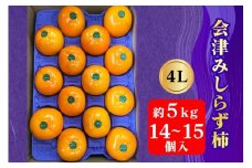 会津身しらず柿 4L (14個から15個入り) 約5kg 果樹園 壱心産｜会津若松 果物 フルーツ 柿 身知らず みしらず かき カキ 会津身不知柿 令和7年 2025年 旬 [0951]