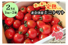 北会津産 ミニトマト 2kg (1kg箱×2段)｜赤トマト 赤 トマト ギフト 贈答 会津 会津若松 とまと フレッシュ 新鮮 プチトマト 産直 農家直送 野菜 サラダ [0915]
