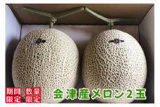 アールスメロン 2玉 (季節の果物)｜2025年産 令和7年産 マスクメロン めろん フルーツ 果物 産直 会津産 数量限定 [0942]