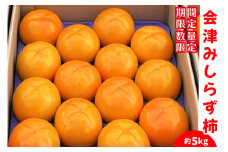 [先行予約] みしらず柿 約5kg (季節の果物)｜2025年産 令和7年産 身しらず柿 柿 かき カキ フルーツ 果物 産直 会津産 数量限定 [0944]