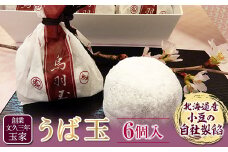 創業文久三年 玉家 うば玉6ヶ入 F21R-005