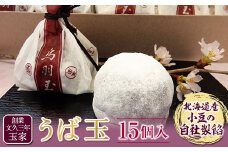 創業文久三年 玉家 うば玉15個入 F21R-009