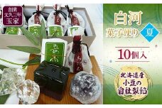 創業文久三年 玉家 白河菓子便り 夏 F21R-015