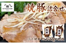 白河高原清流豚 焼豚詰合せ 300g×２ F21R-039