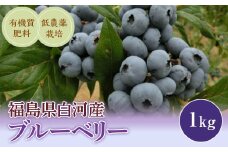 《先行予約》白河産ブルーベリー 1kg F21R-050
