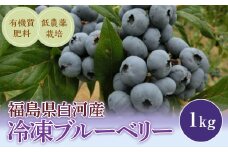 《先行予約》白河産冷凍ブルーベリー 1kg F21R-051