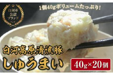 「白河高原清流豚」をメイン食材としたしゅうまい 1個40gとボリューム感のある一品（20個入り） F21R-090